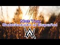 Alan Walker & Emma Steinbakken - Not You // Subtitulada al Español (Lyrics)