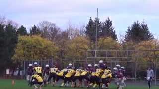 NCAFA - Lions vs Mustangs - Bantam 2014 A-Cup Quarter-Finals