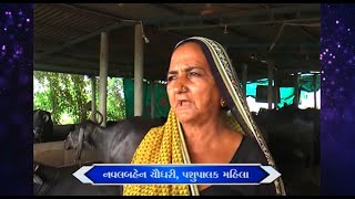 કરોડો રુપિયા કમાતી પશુપાલક મહિલા |  Good News Gujarat | Ep.151