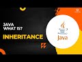 Java Inheritance Tutorial: Inheritance Types & Extends Keyword In Java |  Inheritance in Java