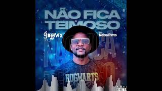 Dj Deivix Ft. Nelsa Pinto - Não Fica Teimoso