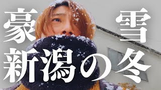 【必見】新潟の冬到来?!雪が積もって身動きが取れなくなる?!