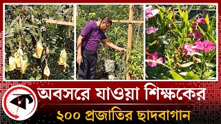 অবসরে যাওয়া শিক্ষকের ২০০ প্রজাতির ছাদবাগান | Roof Garden | Sirajgonj | Kalbela