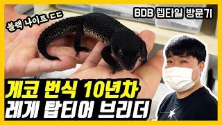 제대로 눈호강하고 왔습니다. 레게 이외에도 크레스티드 게코, 에게르니아등 어마어어마한 파충류들이 ㄷㄷ. 부천 BDB렙타일(파버지TV) 방문기