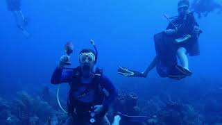 Epic Scuba Dive With Blue Water Divers BVI