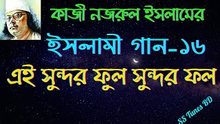 এই সুন্দর ফুল সুন্দর ফল।। মিঠা নদীর পানি।। Ey Sundor Ful Sundor Fol।। Bangla Islamic Song।।