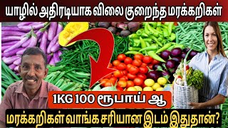 🛑யாழில் திடீரென விலை குறைந்த மரக்கறிகள்! இன்றைய விலை என்ன? #jaffna#vegetablemarket#trendingtamilnews