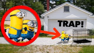 I CAPTURED MINIONS IN REAL LIFE!! *Despicable Me 4*