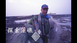 冰河的古老記憶｜探索藻礁 (我們的島 第110集 2001-06-04)