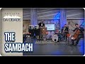 Musical: The SAMBach - Revista da Cidade (25/12/2017)