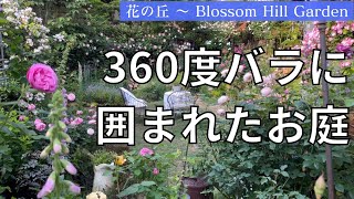 《個人庭／憧れがつまった大人のバラの庭》秘密の花園に迷い込んだよう～素晴らしすぎて溜息連発／撮影日：５月２３日（千葉県）