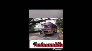 Padmambika motors mass entry