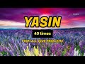 🎧Surah Yaseen 40 times سورة يس ALLAH'S HELP WILL SURELY COME