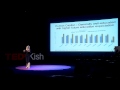 iran at the center of a silk road renaissance nadereh chamlou tedxkish