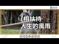 佛禪：老了以後才知道，這輩子最親的人，竟然是他……