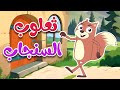 أغنية ثعلوب السنجاب - قناة أسرتنا