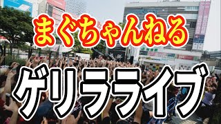 まぐちゃんねるゲリラライブｗ