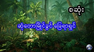 မုဆိုး နှင်ြ ဆုံတောမြိုင်ခွင် ခြေရာရှင် - စဆုံး