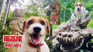 【犬連れ登山/トレラン】南高尾で木彫りのフクロウ・龍・天狗巡り / trail running with dog in Japan Jack Russell Terrier