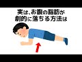 誰かに話したくなるお腹の脂肪と健康の雑学