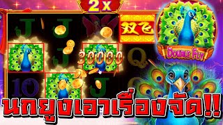 สล็อตCQ9 - Double Fly ดับเบิลฟลาย นกยูงเอาเรื่องจัด!!😱😱|nobilivestream