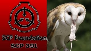 A Cat Reads || SCP Articles || SCP-391 - The Midas Owl