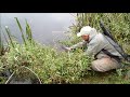 releasing a 9lb hen atlantic salmon caught on flying c river teifi wales