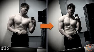 How To Lose Fat Without Ever Being Hungry – Road To The Most Disciplined Man #16