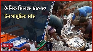 সরগরম দেশের ২য় বৃহত্তম মৎস্য অবতরণ কেন্দ্র | Fish Market | Sea Fishing | Barguna | Somoy TV