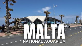 The Malta National Aquarium is A Must-Visit in Malta 🇲🇹