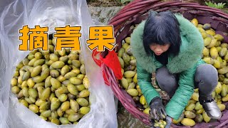 Big sister picks green fruits and harvests a basket full