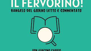 IL FERVORINO! Mt 13,53-58 [Non dare per scontato il mistero che c'è nel cuore]