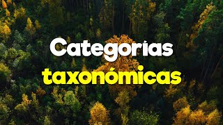 Categorías taxonómicas