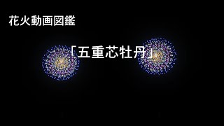 花火動画図鑑「五重芯牡丹」[FWsim]