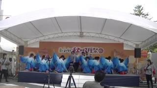 福井大学よっしゃこい 2015 「命辿」　秋の収穫祭