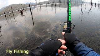 បបក់ត្រីឆ្តោតាមបឹង-Our Water | Fly Fishing Ta Sal Dam Public Water, Fishing v13