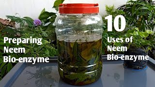 How to make Neem Bio-enzyme? |  10 Uses of Neem Bio-enzyme | Tamil