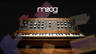 Moog Minimoog Synthesizer Trailer | UAD Instruments