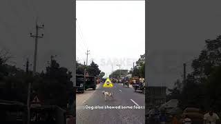 Danger Moment on the Road রাস্তায় বিপদের মুহূর্ত#20#viral #short #funny #reel #top #video #trending