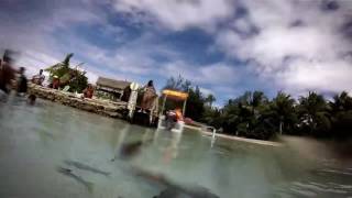 GoPro: Swimming with Sharks! Lagoonarium Moorea, French Polynesia