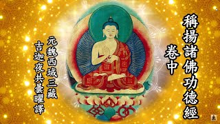 第398部-稱揚諸佛功德經(卷中)