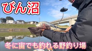 この時期に宙でもへらぶなが釣れる野釣り場びん沼。どーなってんの