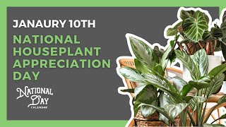 NATIONAL HOUSEPLANT APPRECIATION DAY | January 10th - National Day Calendar