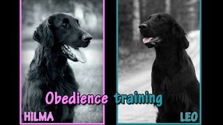 Obedience training by Hilma \u0026 Leo