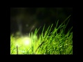 Anders Rogg - Hymne (The sound of light)