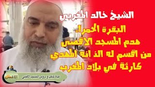 #الشيخ_خالد_المغربي | درس هام حول #البقرة_الحمراء وهدم #الأقصى ورؤى من أقسم له النبي