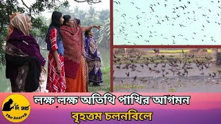 লক্ষ লক্ষ অতিথি পাখির আগমন বৃহত্তম চলনবিলে | Guest Bird News | Sirajganj | #দি সার্চ | #The Search |