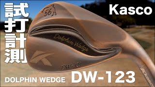 キャスコ『DOLPHIN WEDGE DW-123』試打