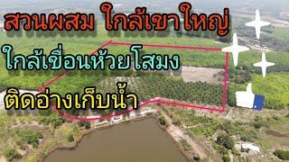 ขายที่ดินปราจีนบุรี รหัส164 ที่สวน ใกล้เขาใหญ่ ใกล้เขื่อนห้วยโสมง และวังน้ำเขียว ไร่ละ 450,000฿