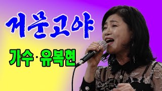 가수 유복현 / 거문고야(송가인)  / 노원 실버카페공연 / 배호사랑예술단 / 한국배호가요제총연합회 25.2.11